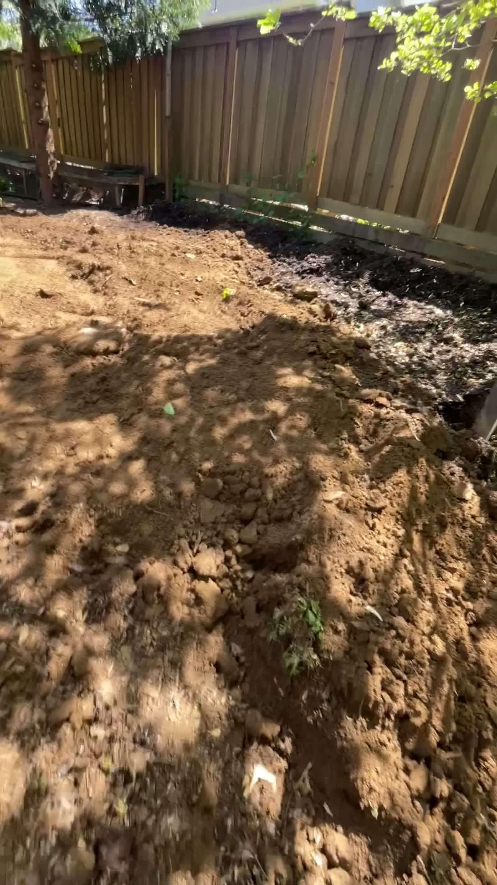 Excavation